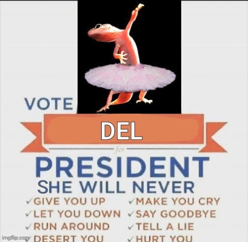 vote del for president rickroll | image tagged in vote del for president rickroll | made w/ Imgflip meme maker