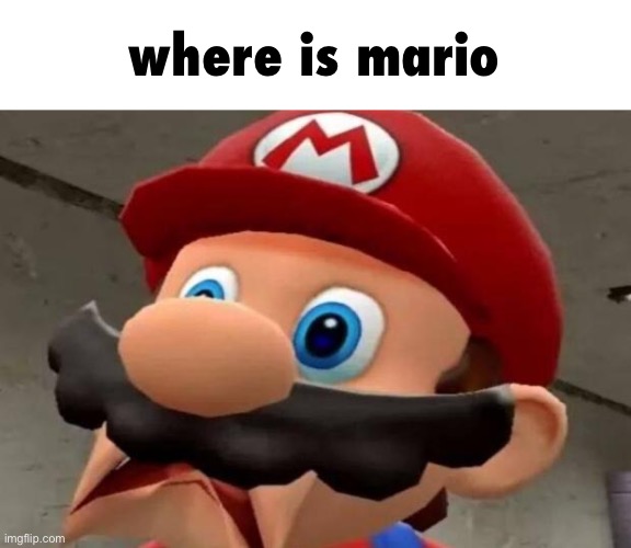 Mario WTF | where is mario | image tagged in mario wtf | made w/ Imgflip meme maker