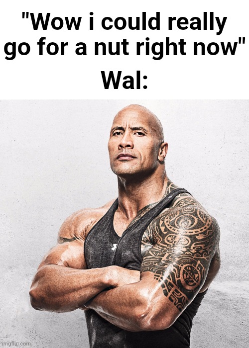 those who know + balkan parents + thick of it + still water + talk tuah + 2 steps ahead + lunchly + balkan rage + just put the f | "Wow i could really go for a nut right now"; Wal: | image tagged in the rock arms crossed | made w/ Imgflip meme maker