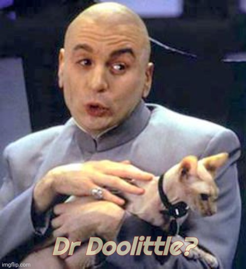 Dr Evil Cat | Dr Doolittle? | image tagged in dr evil cat | made w/ Imgflip meme maker
