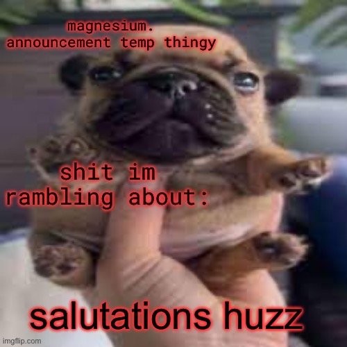 pug temp | salutations huzz | image tagged in pug temp | made w/ Imgflip meme maker