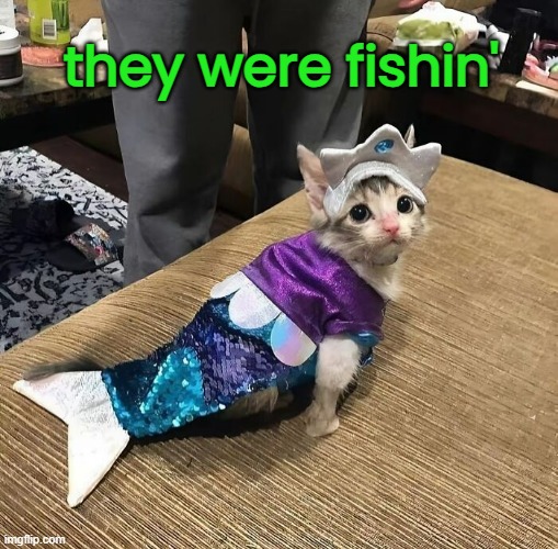 they were fishin' | made w/ Imgflip meme maker