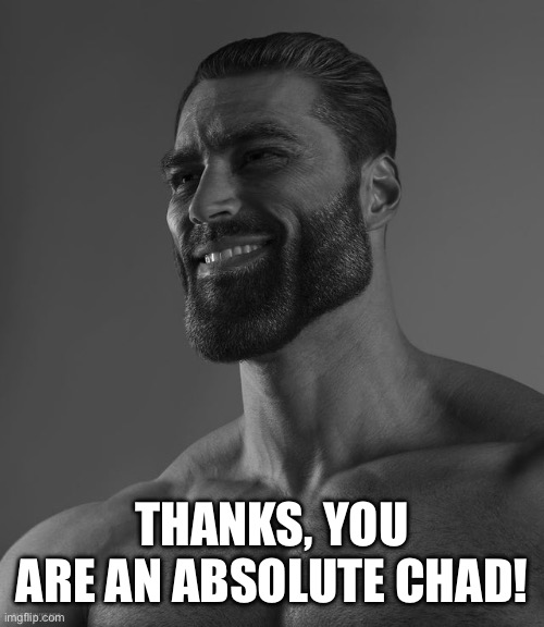 Giga Chad | THANKS, YOU ARE AN ABSOLUTE CHAD! | image tagged in giga chad | made w/ Imgflip meme maker