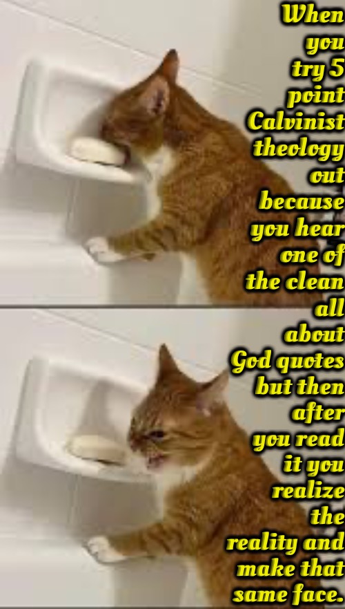 Not God Honoring | When you try 5 point Calvinist theology out because you hear one of the clean; all about God quotes but then after you read it you realize the reality and make that same face. | image tagged in calvinism,arminian,molinism,reformed theology 5 point calvinist theology,character killers,evil view of god's exercise of power | made w/ Imgflip meme maker