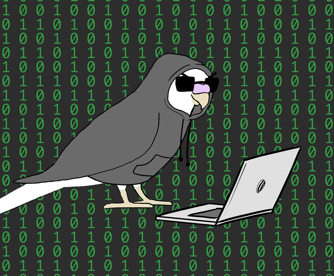 Hacker Bird Blank Meme Template