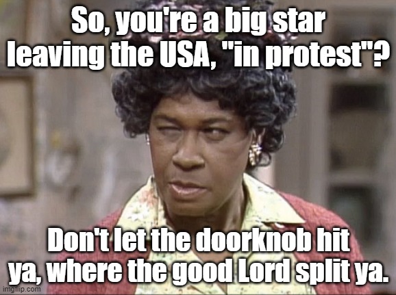 Aunt Ester would say it. | So, you're a big star leaving the USA, "in protest"? Don't let the doorknob hit ya, where the good Lord split ya. | image tagged in political meme,political | made w/ Imgflip meme maker