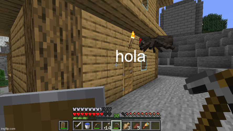 a completely random meme of my survival world that is not funny at all | hola | image tagged in memes,shitpost,minecraft,spider,a random meme | made w/ Imgflip meme maker