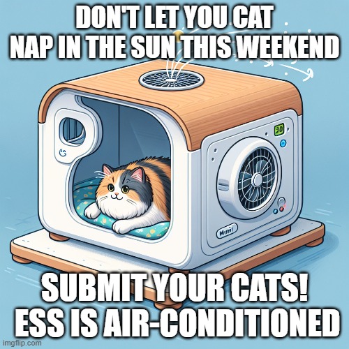 CATS reminder | DON'T LET YOU CAT NAP IN THE SUN THIS WEEKEND; SUBMIT YOUR CATS!  ESS IS AIR-CONDITIONED | image tagged in cats,timesheets,timesheet reminder,hot | made w/ Imgflip meme maker