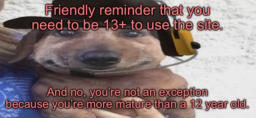 chucklenuts | Friendly reminder that you need to be 13+ to use the site. And no, you’re not an exception because you’re more mature than a 12 year old. | image tagged in chucklenuts | made w/ Imgflip meme maker