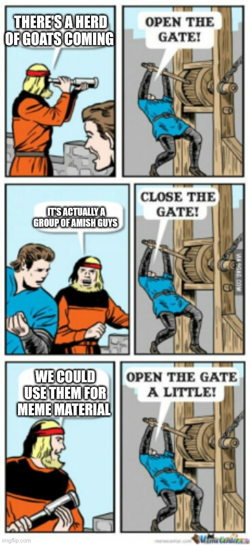 Open the gate a little | THERE'S A HERD OF GOATS COMING; IT'S ACTUALLY A GROUP OF AMISH GUYS; WE COULD USE THEM FOR MEME MATERIAL | image tagged in open the gate a little | made w/ Imgflip meme maker