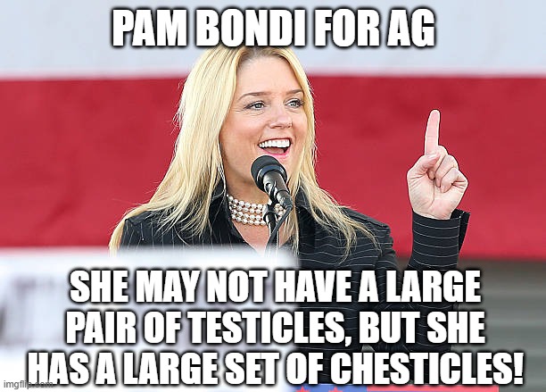 I endorse this pick | PAM BONDI FOR AG; SHE MAY NOT HAVE A LARGE PAIR OF TESTICLES, BUT SHE HAS A LARGE SET OF CHESTICLES! | image tagged in pam bondi | made w/ Imgflip meme maker