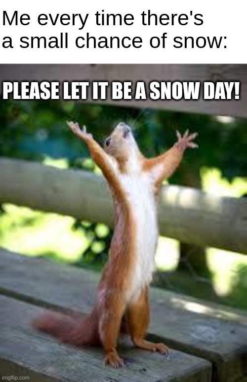 - | Me every time there's a small chance of snow:; PLEASE LET IT BE A SNOW DAY! | image tagged in praise squirrel,snow day,school,memes,relatable,why are you reading the tags | made w/ Imgflip meme maker