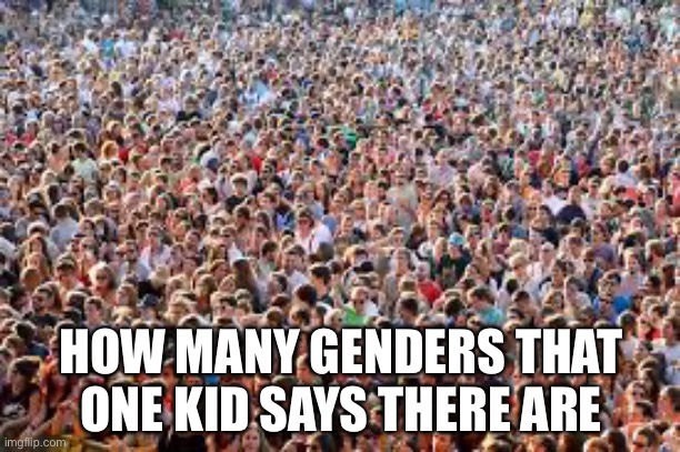 We all know that one kid | HOW MANY GENDERS THAT ONE KID SAYS THERE ARE | image tagged in large crowd | made w/ Imgflip meme maker