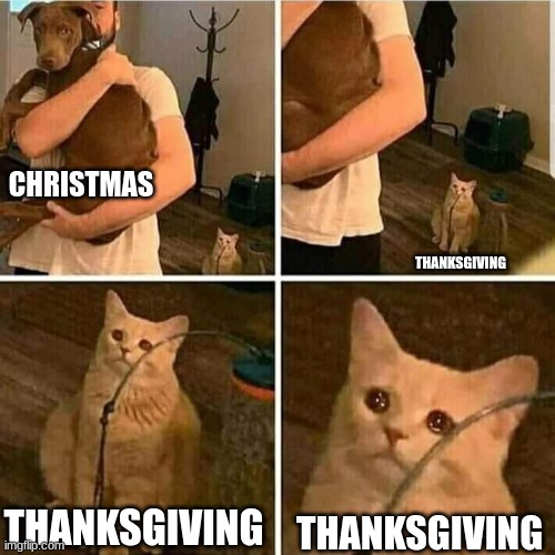 Sad Cat Holding Dog | CHRISTMAS; THANKSGIVING; THANKSGIVING; THANKSGIVING | image tagged in sad cat holding dog,sad cat,cats,funny cats,cat memes | made w/ Imgflip meme maker