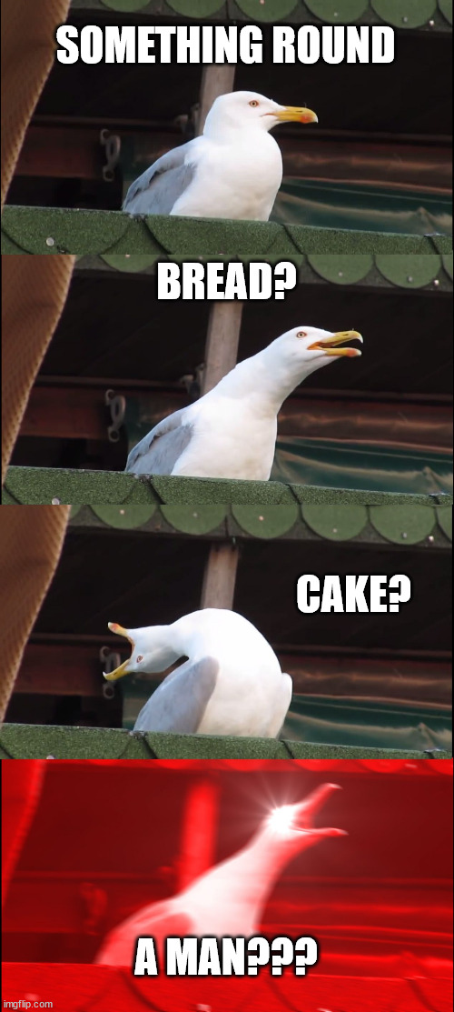 it's a bread, it's a cake, it's a man? | SOMETHING ROUND; BREAD? CAKE? A MAN??? | image tagged in memes,inhaling seagull | made w/ Imgflip meme maker