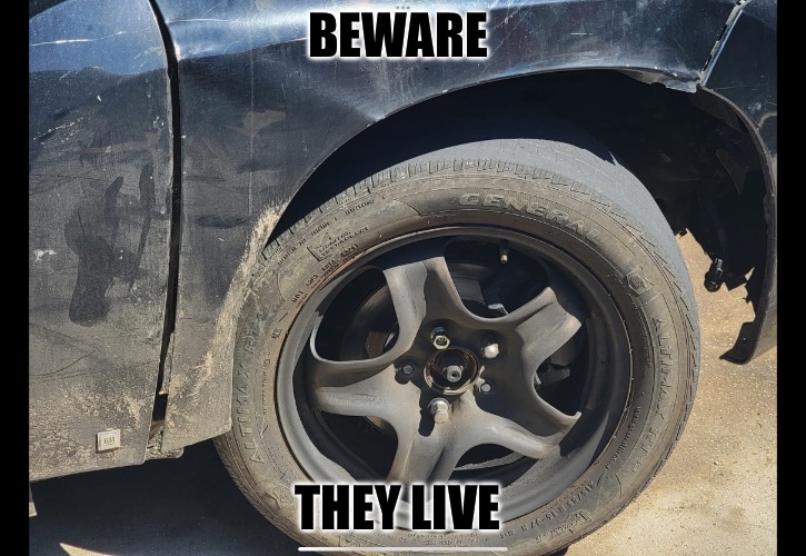 They Live | BEWARE; THEY LIVE | image tagged in they live,beware,bad memes,cars,bad drivers,memes | made w/ Imgflip meme maker