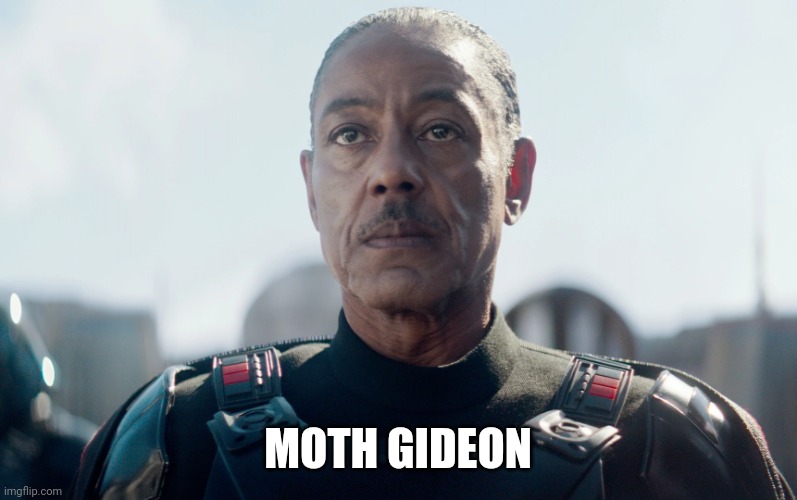 Moff Gideon | MOTH GIDEON | image tagged in moff gideon | made w/ Imgflip meme maker