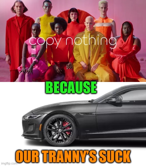 Jaguar - we don’t know what we are doing | BECAUSE; OUR TRANNY’S SUCK | image tagged in pretty car to sit broken down in the driveway,fix your tranny,beautiful junk,jaguars dont work | made w/ Imgflip meme maker