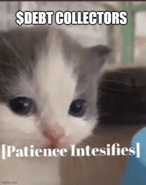 kitty $DEBT | $DEBT COLLECTORS | image tagged in patience | made w/ Imgflip meme maker