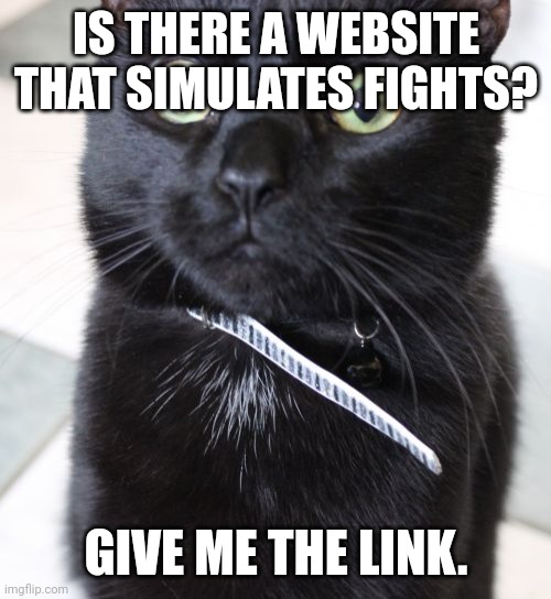 Woah Kitty | IS THERE A WEBSITE THAT SIMULATES FIGHTS? GIVE ME THE LINK. | image tagged in memes,woah kitty,msmg | made w/ Imgflip meme maker