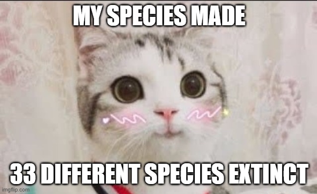 cute cat | MY SPECIES MADE; 33 DIFFERENT SPECIES EXTINCT | image tagged in cute cat uwu | made w/ Imgflip meme maker