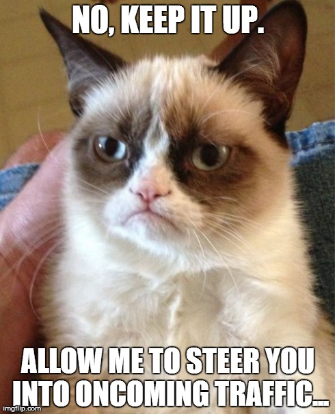 Grumpy Cat Meme | NO, KEEP IT UP. ALLOW ME TO STEER YOU INTO ONCOMING TRAFFIC... | image tagged in memes,grumpy cat | made w/ Imgflip meme maker