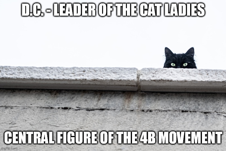 Washington's D.C. - Leader of the Cat Ladies | D.C. - LEADER OF THE CAT LADIES; CENTRAL FIGURE OF THE 4B MOVEMENT | image tagged in demon cat | made w/ Imgflip meme maker