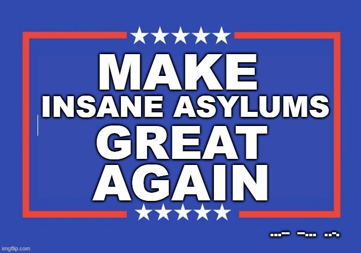 Make Insane Asylums Great Again | MAKE; INSANE ASYLUMS; GREAT; AGAIN; ...--  --...  ..-. | image tagged in woke illness,great again | made w/ Imgflip meme maker