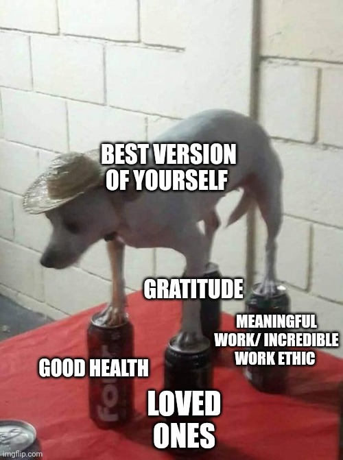 Chihuahua in Hat Balancing on Four Loko Cans | BEST VERSION OF YOURSELF; GRATITUDE; MEANINGFUL WORK/ INCREDIBLE WORK ETHIC; GOOD HEALTH; LOVED ONES | image tagged in chihuahua in hat balancing on four loko cans | made w/ Imgflip meme maker