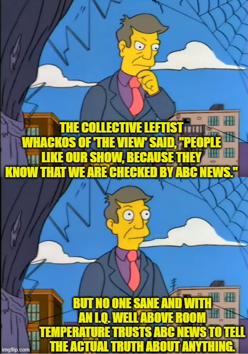 Skinner! | THE COLLECTIVE LEFTIST WHACKOS OF 'THE VIEW' SAID, "PEOPLE LIKE OUR SHOW, BECAUSE THEY KNOW THAT WE ARE CHECKED BY ABC NEWS."; BUT NO ONE SANE AND WITH AN I.Q. WELL ABOVE ROOM TEMPERATURE TRUSTS ABC NEWS TO TELL THE ACTUAL TRUTH ABOUT ANYTHING. | image tagged in skinner out of touch | made w/ Imgflip meme maker