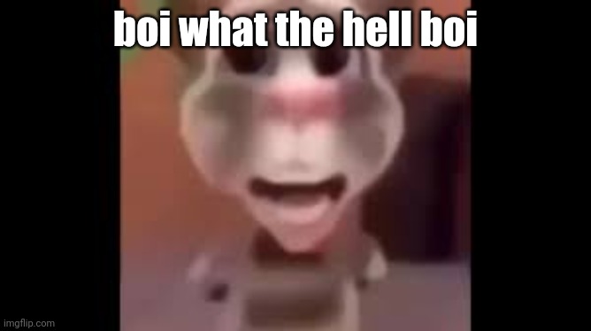 Boy What the Hell Boy | boi what the hell boi | image tagged in boy what the hell boy | made w/ Imgflip meme maker