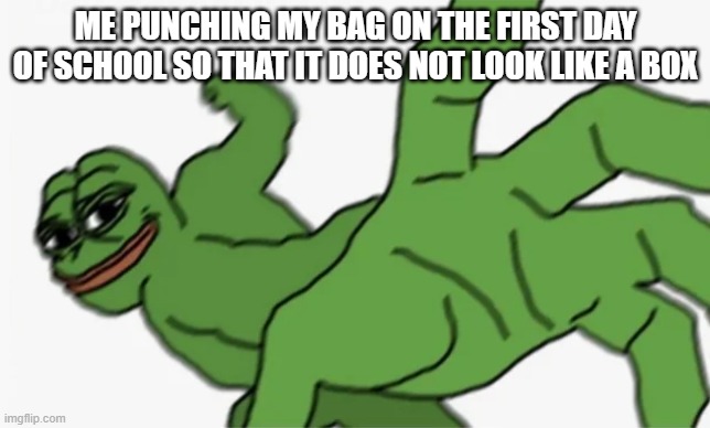 pepe punch | ME PUNCHING MY BAG ON THE FIRST DAY OF SCHOOL SO THAT IT DOES NOT LOOK LIKE A BOX | image tagged in pepe punch | made w/ Imgflip meme maker