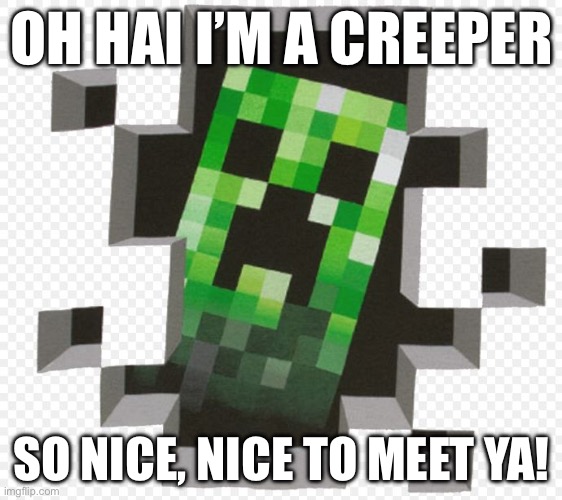 Anyone remember creeper rap? | OH HAI I’M A CREEPER; SO NICE, NICE TO MEET YA! | image tagged in minecraft creeper | made w/ Imgflip meme maker