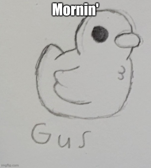 It's finally Friday... just power through school... | Mornin' | image tagged in gus the duck | made w/ Imgflip meme maker