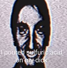 I poured sulfuric acid on my dick Blank Meme Template