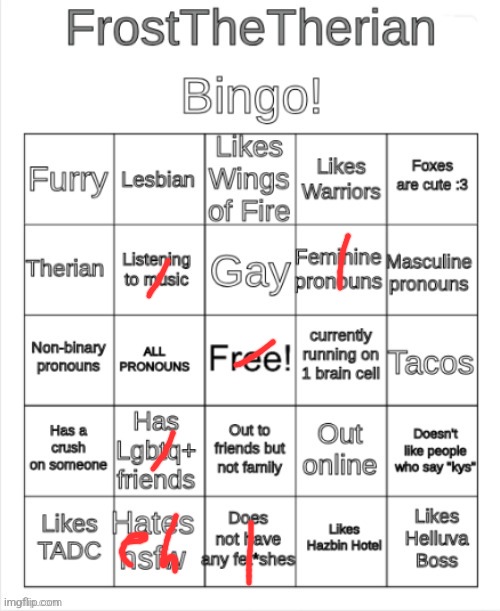 How can you be lesbian and gay at the same time,a lotta shi here doesnt make sense | image tagged in frost the therians bingo | made w/ Imgflip meme maker