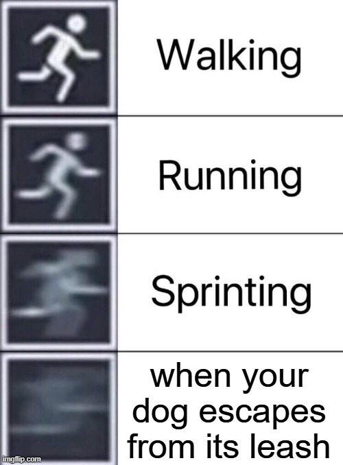 Walking, Running, Sprinting | when your dog escapes from its leash | image tagged in walking running sprinting | made w/ Imgflip meme maker