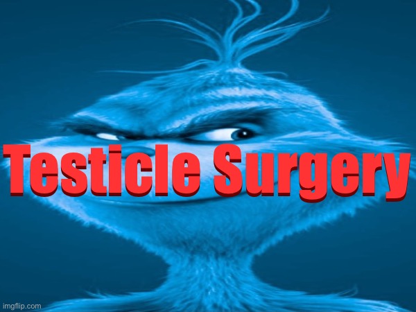 Testicle Surgery; Testicle Surgery | made w/ Imgflip meme maker