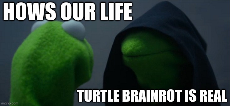 Evil Kermit | HOWS OUR LIFE; TURTLE BRAINROT IS REAL | image tagged in memes,evil kermit | made w/ Imgflip meme maker