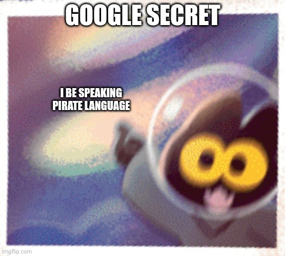 This one isn't a search, but instead, you need to go to the language settings | GOOGLE SECRET; I BE SPEAKING PIRATE LANGUAGE | image tagged in momo the cat pog | made w/ Imgflip meme maker