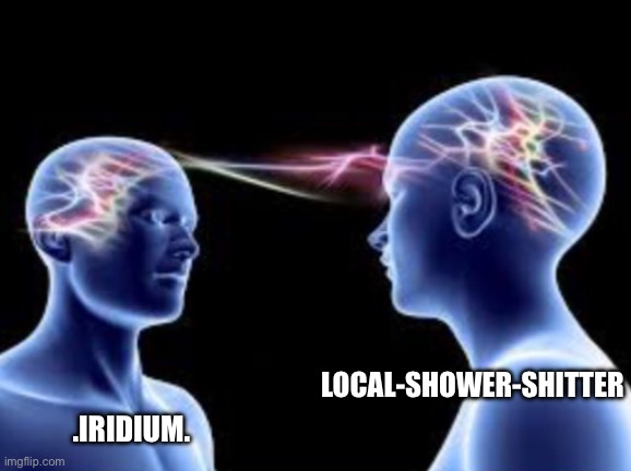 Iridium wtf | LOCAL-SHOWER-SHITTER; .IRIDIUM. | image tagged in two idiots sharing a singular braincell | made w/ Imgflip meme maker