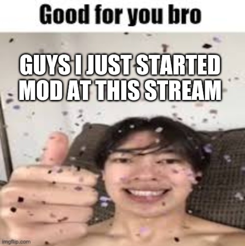 Good for you bro (Iraqi_Randomizer temp) | GUYS I JUST STARTED MOD AT THIS STREAM | image tagged in good for you bro | made w/ Imgflip meme maker