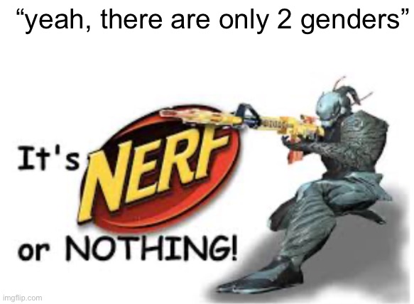 this is satire btw | “yeah, there are only 2 genders” | image tagged in blank white template,its nerf or nothing | made w/ Imgflip meme maker