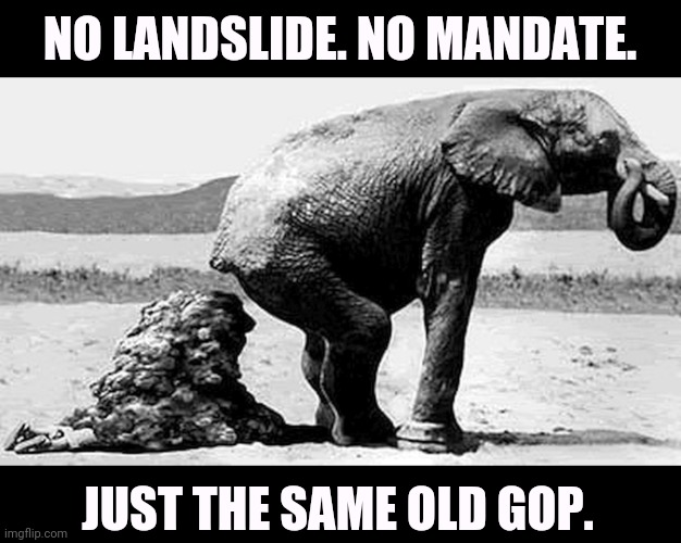 A Very Narrow Win | NO LANDSLIDE. NO MANDATE. JUST THE SAME OLD GOP. | image tagged in trump,small,victory | made w/ Imgflip meme maker