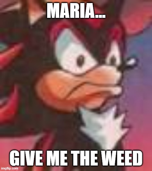 Maria... give me the weed | MARIA... GIVE ME THE WEED | image tagged in shadow the hedgehog | made w/ Imgflip meme maker