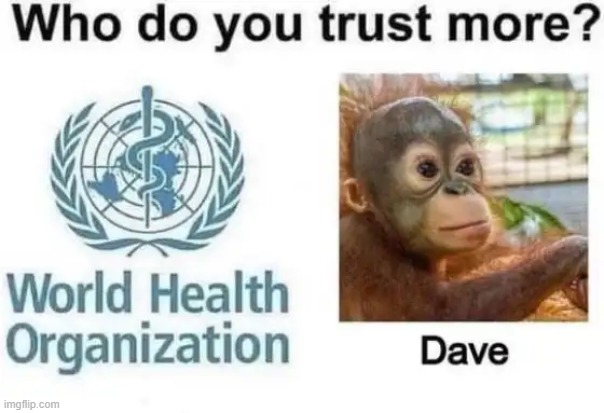 Without hesitation, DAVE! | image tagged in who,world health organization,monkey,choices,trust,trust issues | made w/ Imgflip meme maker