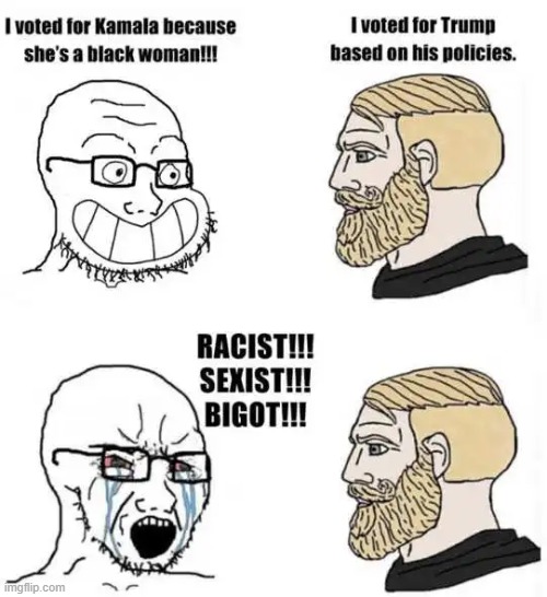 The real racists and sexists | image tagged in racism,real racism and sexism,democrats,the simple truth,truth | made w/ Imgflip meme maker