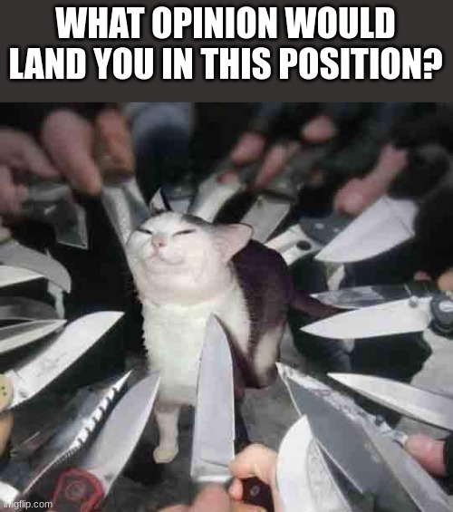 what IS the opinion? | WHAT OPINION WOULD LAND YOU IN THIS POSITION? | image tagged in knife cat | made w/ Imgflip meme maker