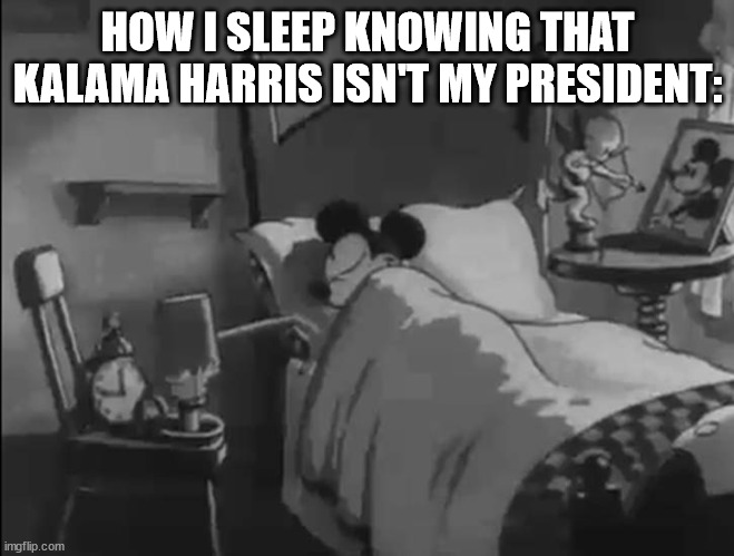 Sleeping mickey mouse | HOW I SLEEP KNOWING THAT KALAMA HARRIS ISN'T MY PRESIDENT: | image tagged in sleeping mickey mouse,memes,politics | made w/ Imgflip meme maker