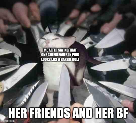 i didnt bother to fight, i just blocked or parried the attacks | ME AFTER SAYING THAT ONE CHEERLEADER IN PINK LOOKS LIKE A BARBIE DOLL; HER FRIENDS AND HER BF | image tagged in knife cat | made w/ Imgflip meme maker